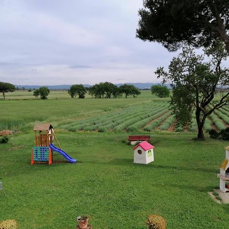 Agriturismo Susanna E Atria بيبونا المظهر الخارجي الصورة
