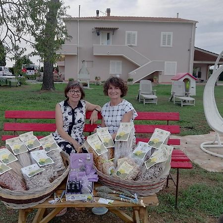 Agriturismo Susanna E Atria بيبونا المظهر الخارجي الصورة