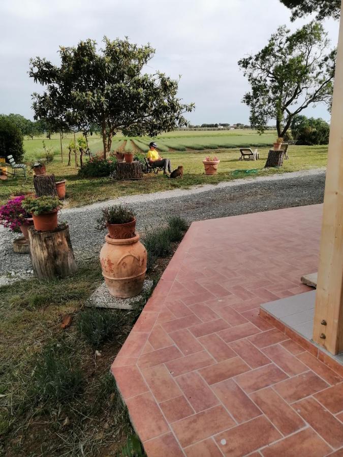 Agriturismo Susanna E Atria بيبونا المظهر الخارجي الصورة