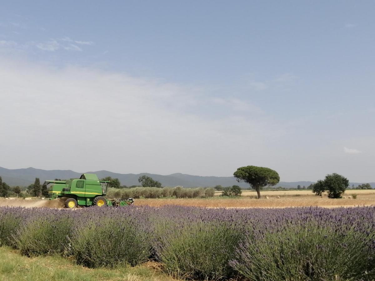 Agriturismo Susanna E Atria بيبونا المظهر الخارجي الصورة