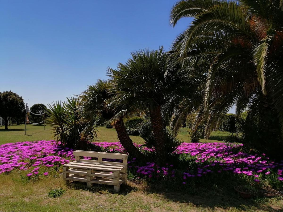 Agriturismo Susanna E Atria بيبونا المظهر الخارجي الصورة