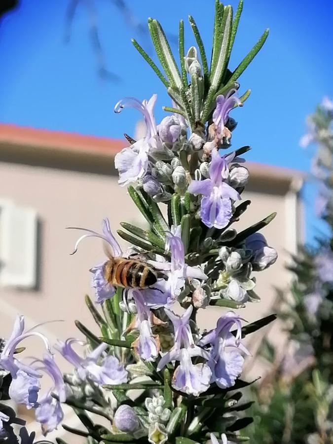 Agriturismo Susanna E Atria بيبونا المظهر الخارجي الصورة