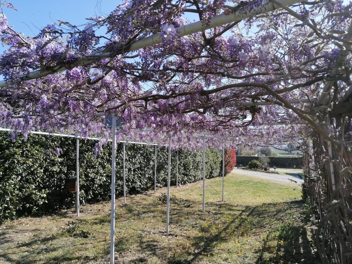 Agriturismo Susanna E Atria بيبونا المظهر الخارجي الصورة